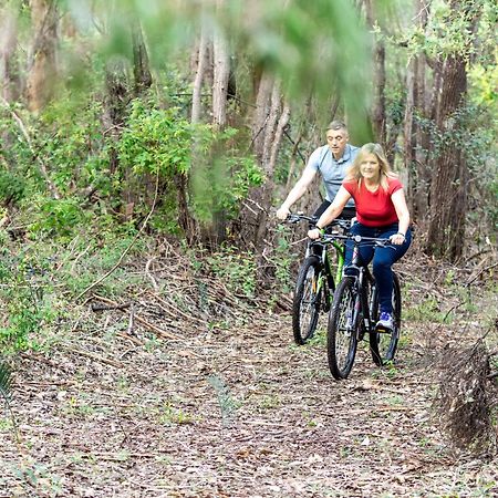 Jarrah Grove Forest Retreat - Adults Only Luxury Chalet Rosa Glen المظهر الخارجي الصورة